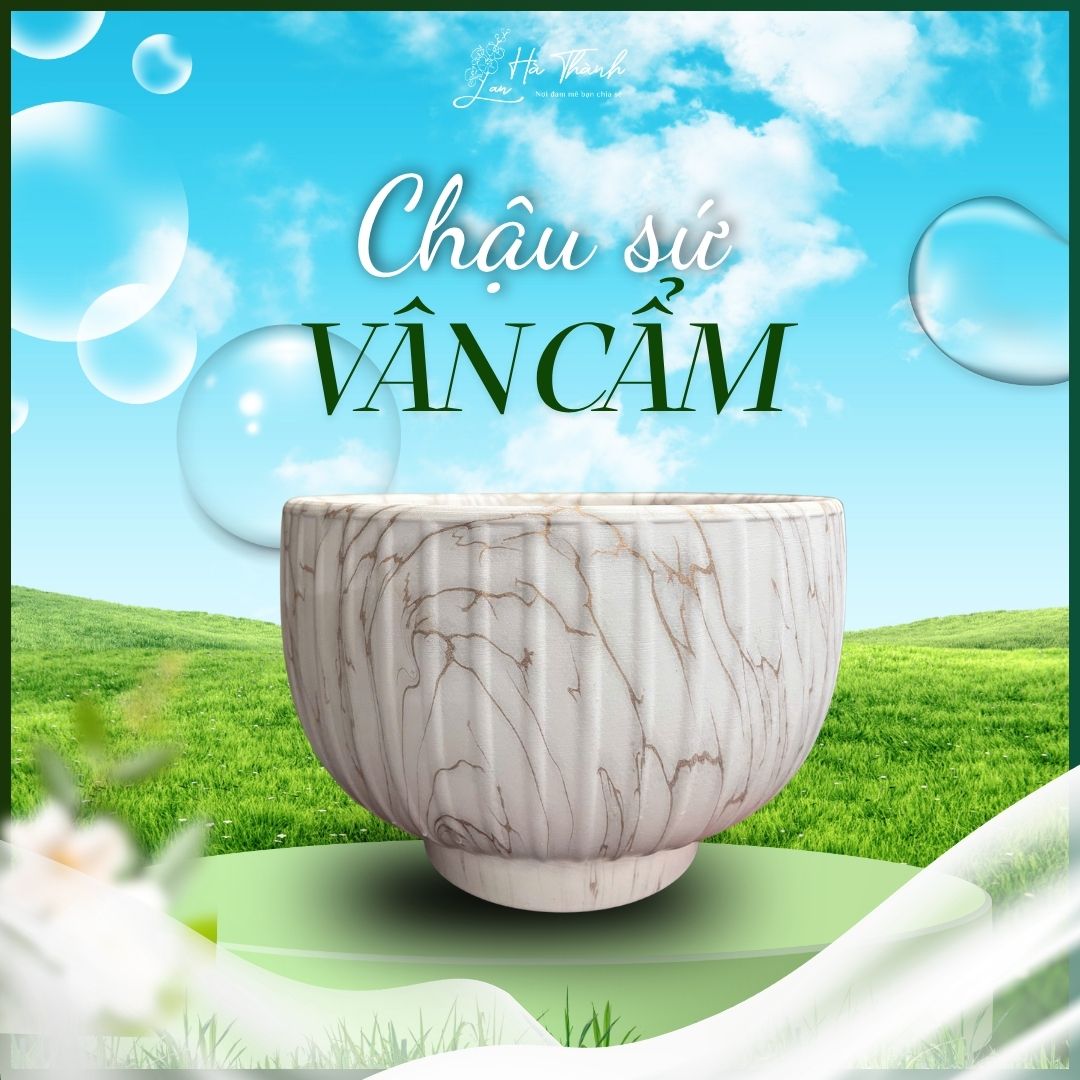 Chậu Sứ Vân Cẩm